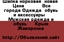 Шапка норковая, новая › Цена ­ 5 000 - Все города Одежда, обувь и аксессуары » Мужская одежда и обувь   . Крым,Жаворонки